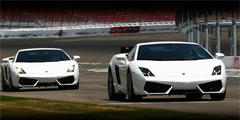 Lamborghini Academy обучит туристов быстрой езде