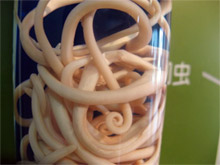 В \десятку\ самых удивительных музеев вошли коллекции фаллосов и катафалков