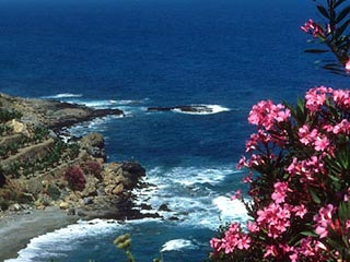 Россияне сменили на Канарах британцев и немцев