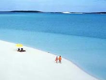 К середине века туриндустрия получит роботов для секса и таблетки \круглосуточных впечатлений\