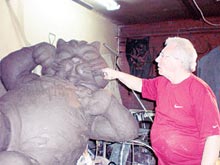 Знаменитому Коту Казанскому поставили памятник