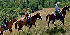 Финансовый кризис ударил по конному туризму