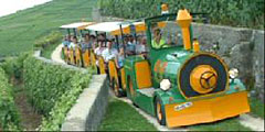 Миниатюрный поезд возит туристов по швейцарским виноградникам