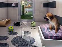 В США открывается парк развлечений для животных