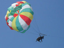 Рекламируя полеты на парашютах, бизнесмены запустили в краснодарское небо осла