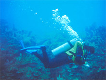 Forbes Traveller назвал лучшие места для дайвинга