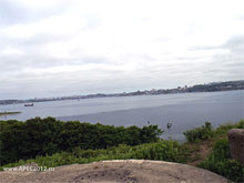 На острове Русский создают сафари-парк