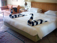 В Египте неженатых туристов хотят селить раздельно