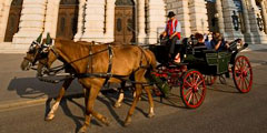 Венских извозчиков будут проверять на трезвость