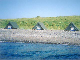 Три четверти россиян остаются \дикарями\ в плане организации отдыха