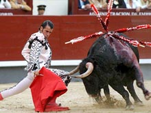 В испанской Каталонии запрещают корриду