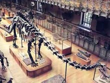 В Лондоне детям предлагают переночевать с динозаврами