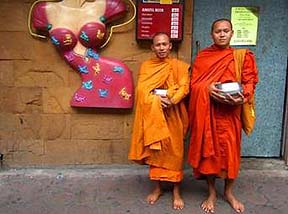 Таиландские монахи стали совами