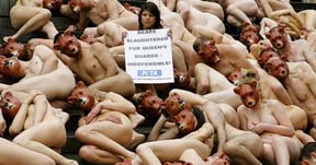 Британские защитники животных обнажились ради медведей