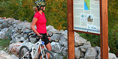 Велосипедные прогулки - \хит сезона\ в Черногории
