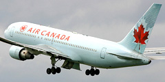 Air Canada снова разрешила провоз животных в самолете