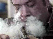 В Ялте посетители кафе могут легально курить \травку\