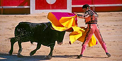 В Каталонии запретили корриду