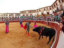 Каталония первой запретила бой быков, на очереди - запрет в Мадриде