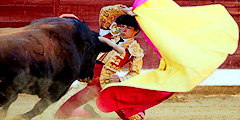 Власти испанского города намерены отменить корриду