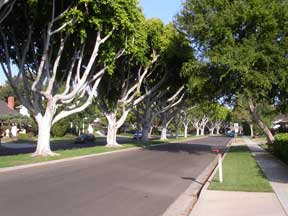 В Иерусалиме появятся свои Гайд-Парки