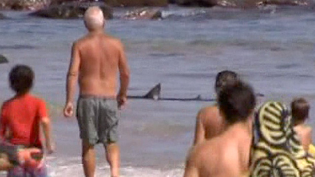 Суд отказал туристу, которому акула откусила ногу в Шарм Эль Шейхе,  в компенсации