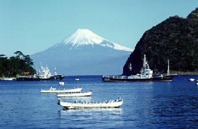 Землетрясение в Японии