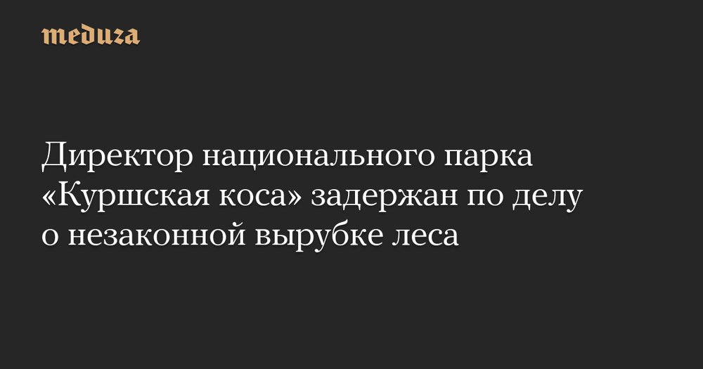 Скандал на Куршской косе: директор нацпарка задержан за вырубку леса под туробъект