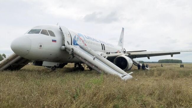 Неожиданная посадка в поле принесла авиакомпании миллиардный штраф