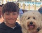 Трагедия в Сиднейской бухте: 12-летний подросток не смог оправиться от нападения акулы