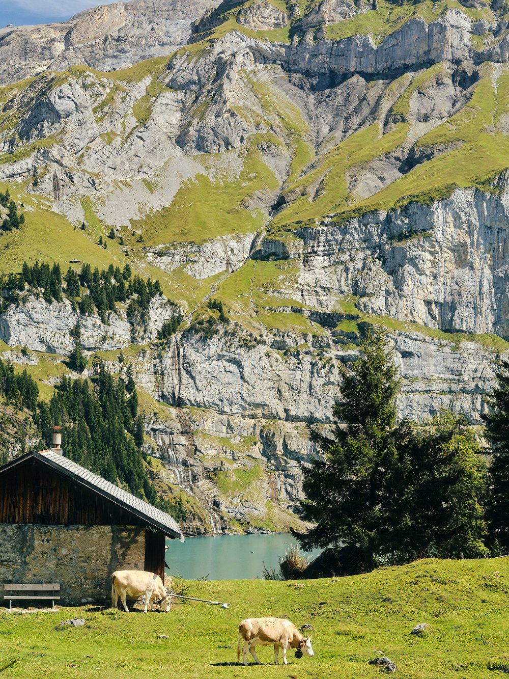 Альпы в движении: как путешествовать по региону Юнгфрау, где величие гор хрупко