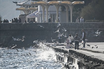 За границей и под венец: почему пары из России выбирают свадьбу в путешествии