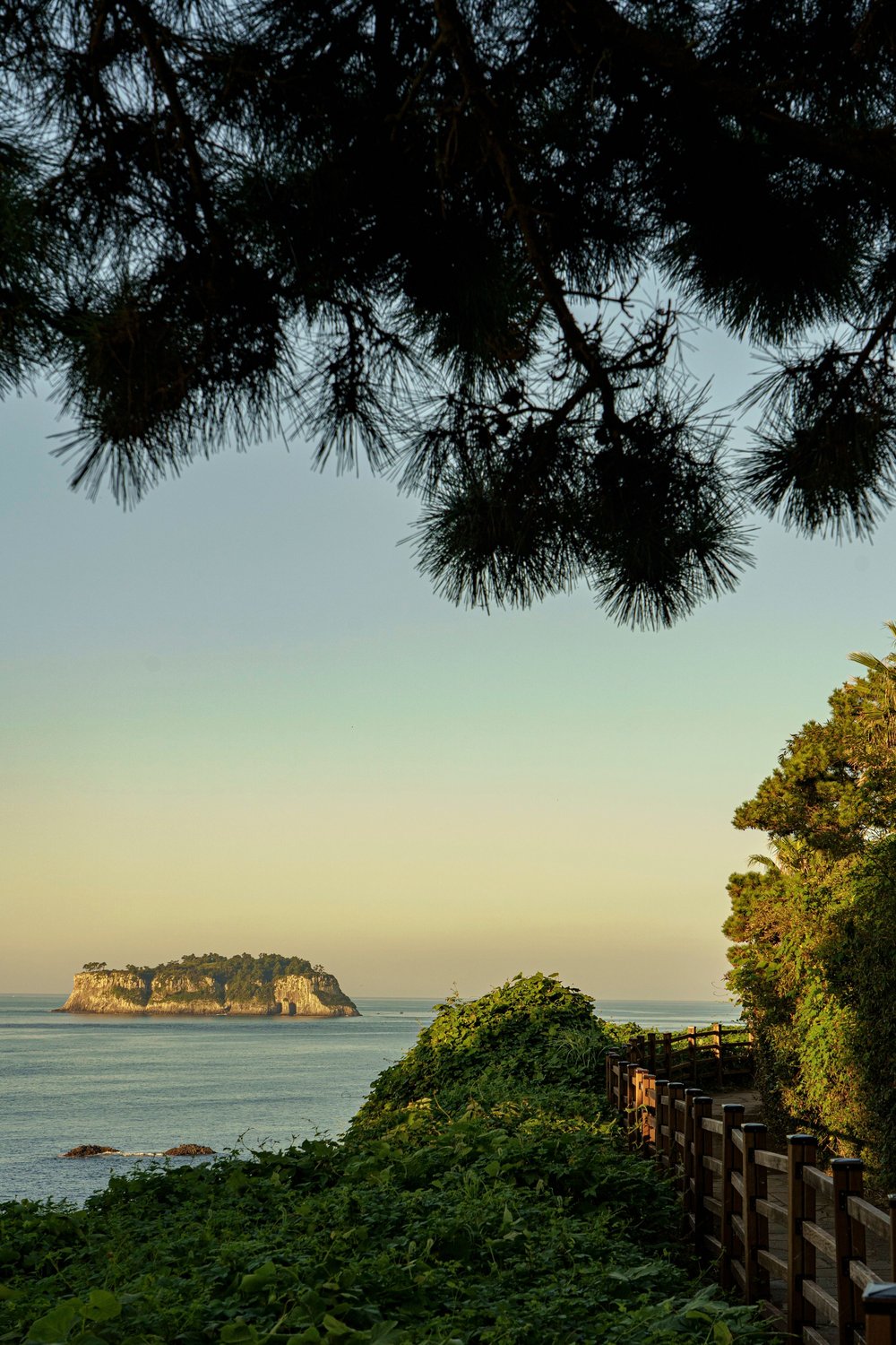 Не только К-поп: почему медовый месяц в Южной Корее — это взрыв эмоций