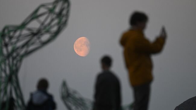 В поисках северного сияния: как путешественники из Китая превратили дорогу в Териберку в ночное приключение