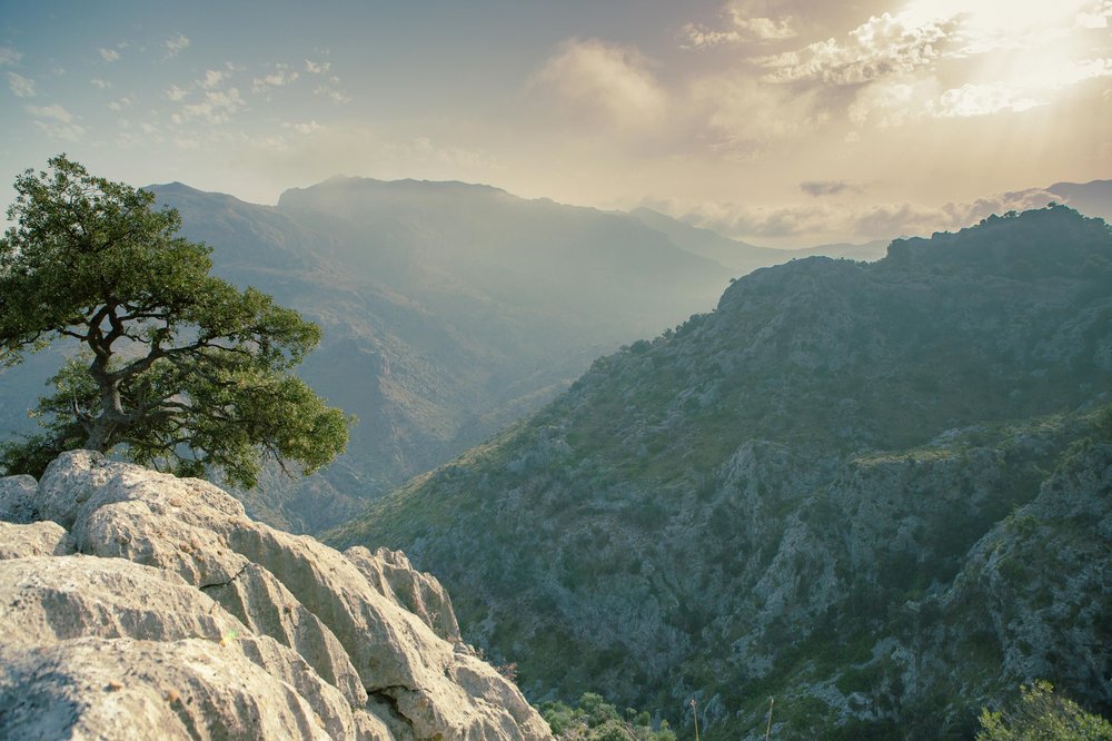 Забыть о пляже: 8 пеших маршрутов, чтобы открыть настоящую Майорку