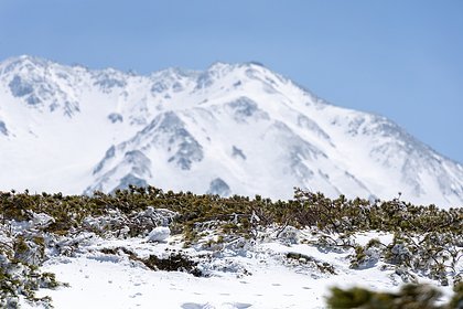 Не верь глазам своим: как не потеряться в бескрайней тундре