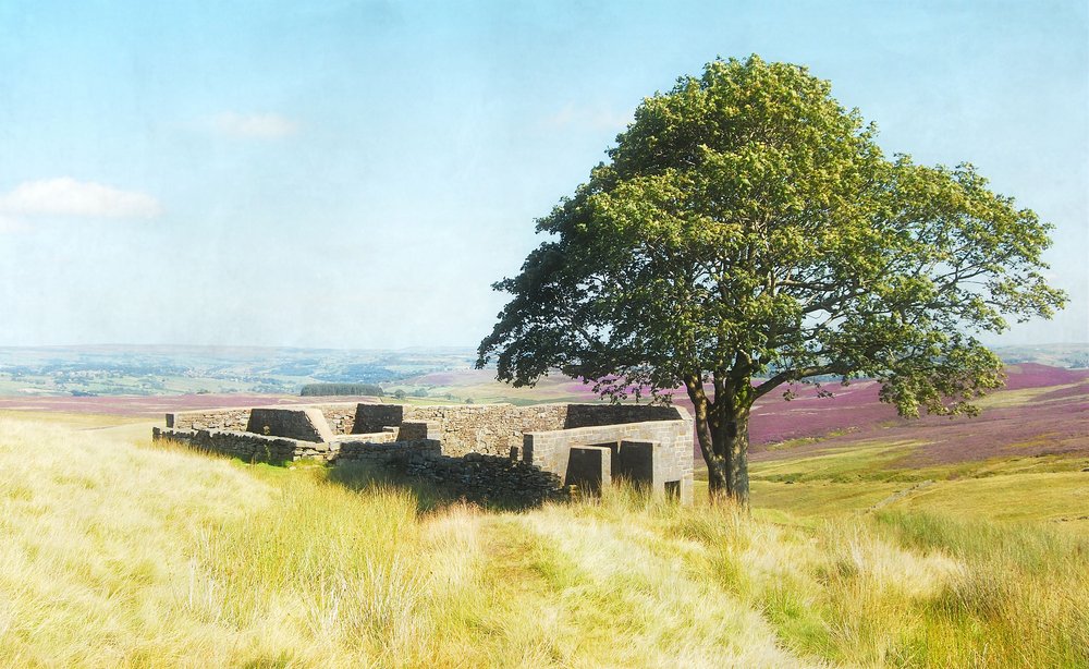 Западный Йоркшир: суровый край, который согреет сердце