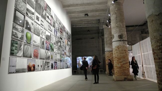 Венецианская биеннале под ультиматумом: Брюссель грозит отозвать гранты из-за российского павильона