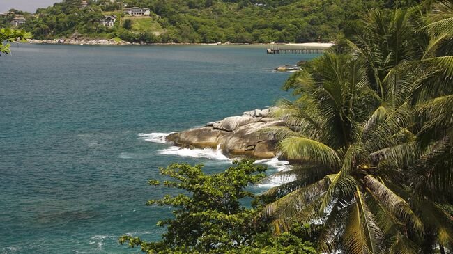 Учитель из Петербурга, найденный волонтерами в Бангкоке, благополучно вернулся домой