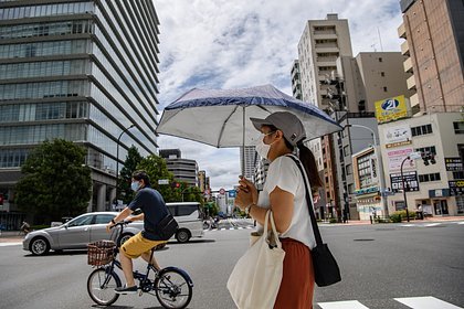 Не только суши: что на самом деле едят в Японии для здоровья и долголетия?