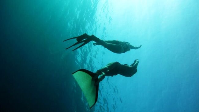 Где в России нырять без акваланга: гид от эксперта по фридайвингу