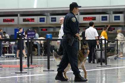 Тревога в Калифорнии: британская путешественница исчезла после встречи с мужчиной