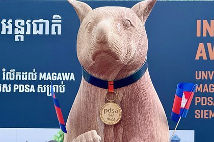 В Камбодже увековечили героя с усами и хвостом: история крысы-сапёра Магавы