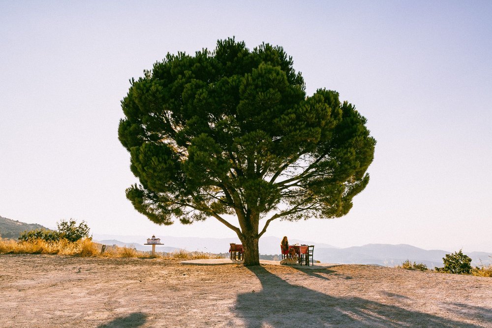 Крит в 2026: Как выбрать свой идеальный уголок на острове контрастов