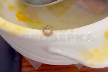 Вместо деликатеса — паразит: шокирующая находка в отеле Шарм-эш-Шейха