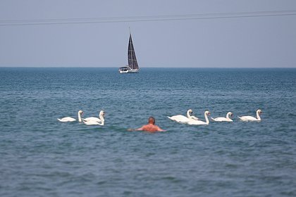 Анапа: пляжи к лету обещают, а вот скидок на отдых не ждите