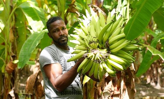 Цены на продукты бьют рекорды: как конфликт на другом конце света ударил по Карибам