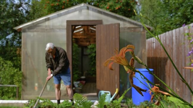 Майские каникулы: россияне едут на дачу не отдыхать, а работать