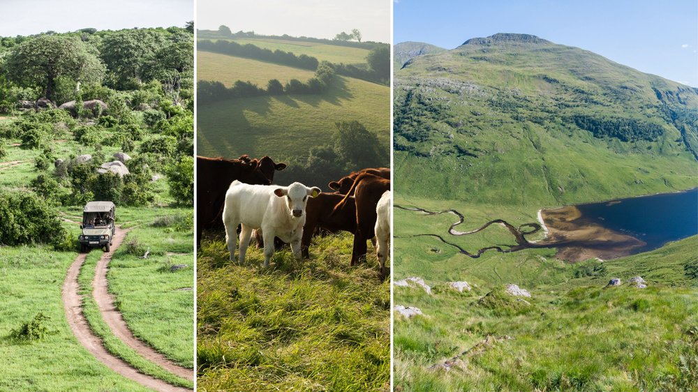 От восстановления природы до поездов будущего: как мы будем путешествовать в 2026 году