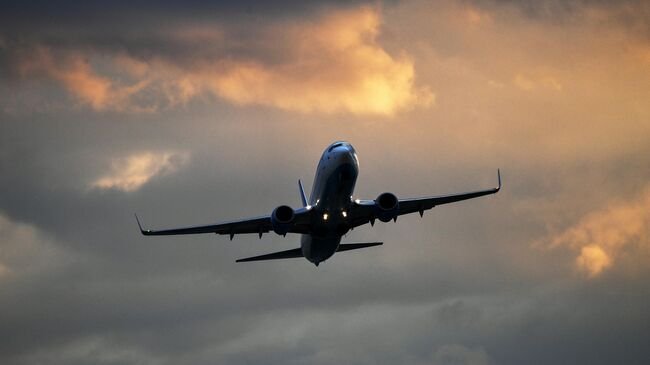 «Врач спасла троих в небе»: рейс Уфа — Владивосток едва не стал трагедией